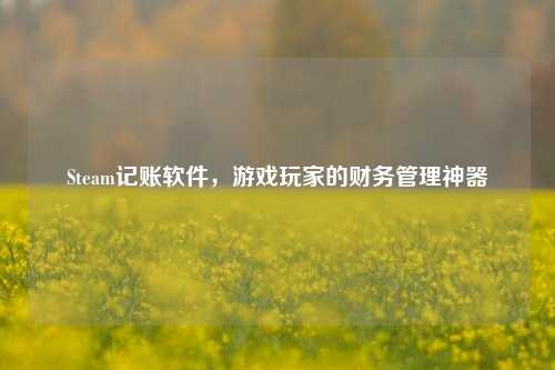 Steam记账软件，游戏玩家的财务管理神器