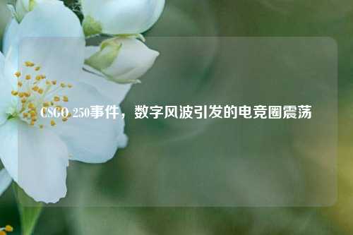 CSGO 250事件，数字风波引发的电竞圈震荡