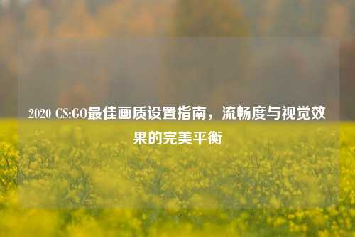2020 CS:GO更佳画质设置指南，流畅度与视觉效果的完美平衡