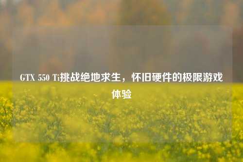 GTX 550 Ti挑战绝地求生，怀旧硬件的极限游戏体验