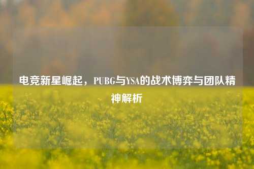 电竞新星崛起，PUBG与YSA的战术博弈与团队精神解析
