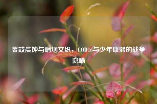 暮鼓晨钟与硝烟交织，COD16与少年康熙的战争隐喻