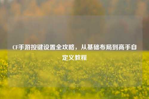 CF手游按键设置全攻略，从基础布局到高手自定义教程