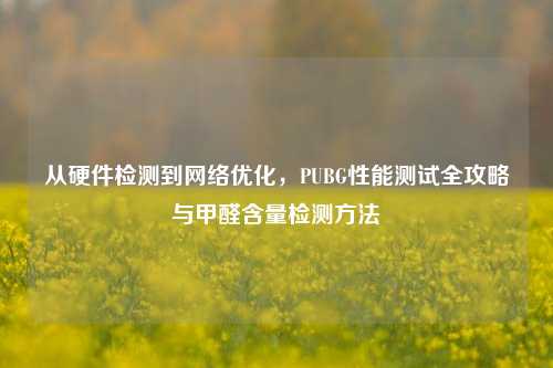 从硬件检测到     优化，PUBG性能测试全攻略与甲醛含量检测     