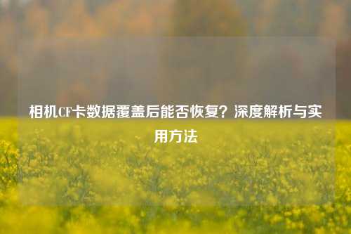 相机CF卡数据覆盖后能否恢复？深度解析与实用     