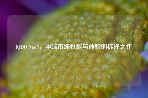 iQOO Neo5，中端市场性能与体验的标杆之作