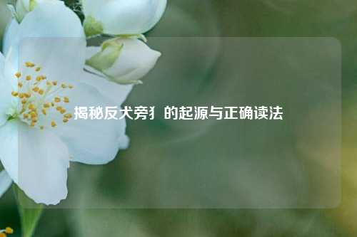揭秘反犬旁犭的起源与正确读法