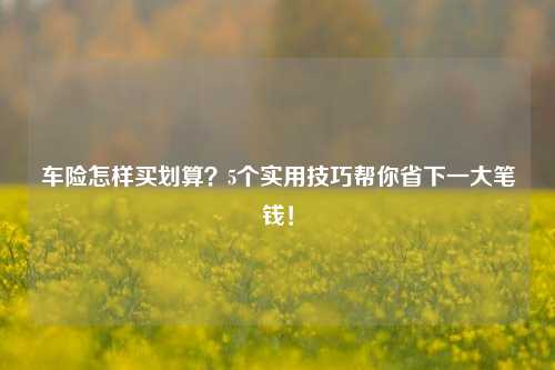 车险怎样买划算？5个实用技巧帮你省下一大笔钱！