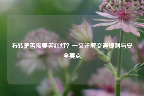 右转是否需要等红灯？一文详解交通规则与安全要点
