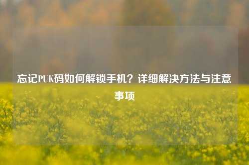 忘记PUK码如何解锁手机？详细解决     与注意事项