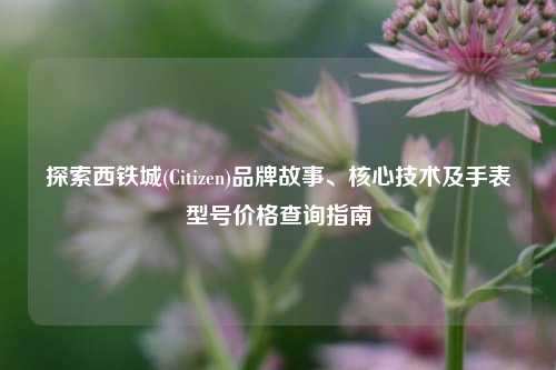 探索西铁城(Citizen)品牌故事、核心技术及手表型号价格查询指南