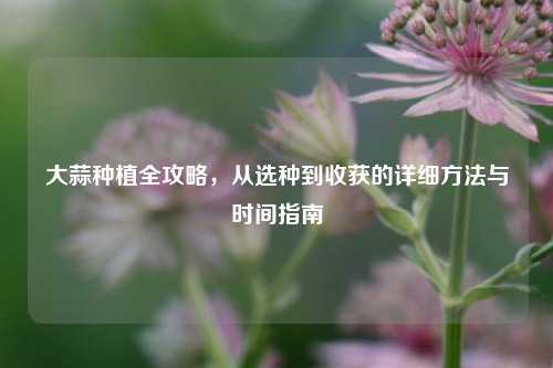 大蒜种植全攻略，从选种到收获的详细     与时间指南