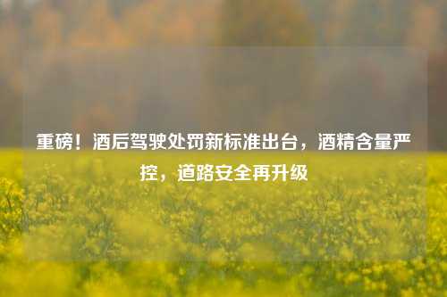 重磅！酒后驾驶处罚新标准出台，酒精含量严控，道路安全再升级