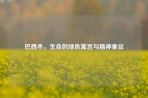 巴西木，生命的绿色寓言与精神象征