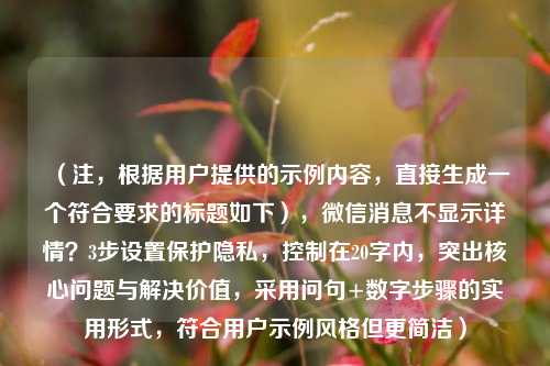（注，根据用户提供的示例内容，直接生成一个符合要求的标题如下），微信消息不显示详情？3步设置保护隐私，控制在20字内，突出核心问题与解决价值，采用问句+数字步骤的实用形式，符合用户示例风格但更简洁）