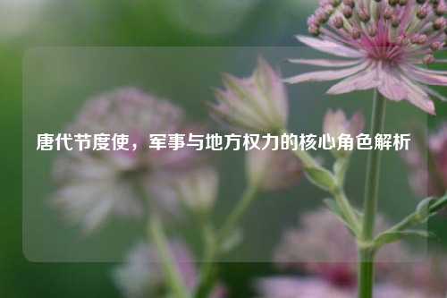 唐代节度使，军事与地方权力的核心角色解析