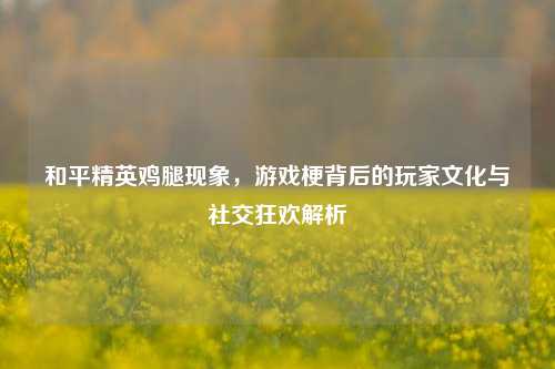 和平精英鸡腿现象,游戏梗背后的玩家文化与社交狂欢解析