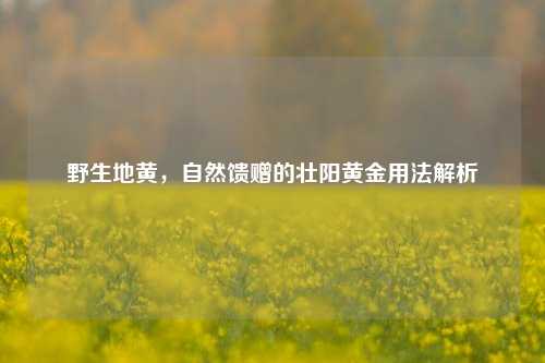 野生地黄,自然馈赠的壮阳黄金用法解析