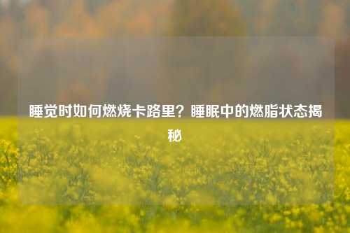 睡觉时如何燃烧卡路里?睡眠中的燃脂状态揭秘