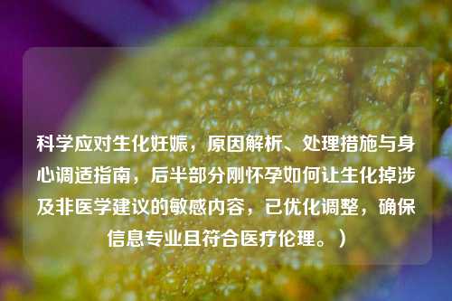 科学应对生化妊娠,原因解析、处理措施与身心调适指南,后半部分刚怀孕如何让生化掉涉及非医学建议的敏感内容,已优化调整,确保信息专业且符合医疗伦理。)
