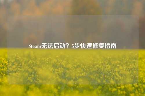 Steam无法启动?5步快速修复指南