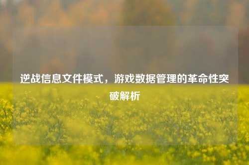 逆战信息文件模式,游戏数据管理的革命性突破解析