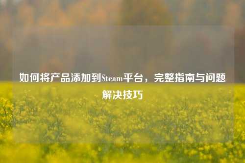 如何将产品添加到Steam平台,完整指南与问题解决技巧