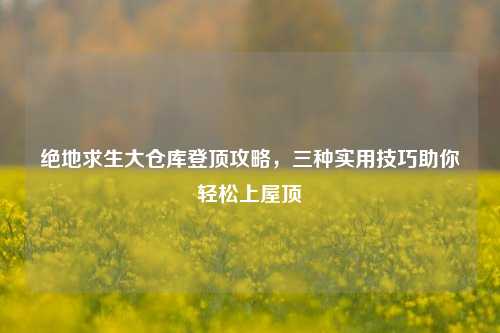 绝地求生大仓库登顶攻略,三种实用技巧助你轻松上屋顶
