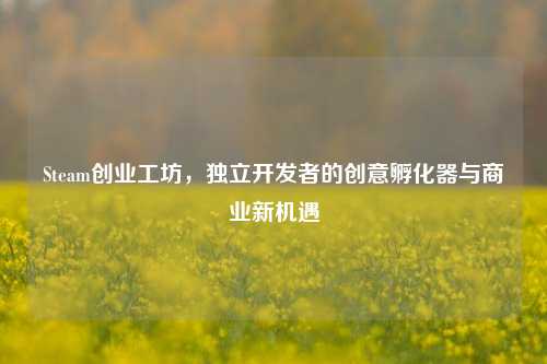 Steam创业工坊,独立开发者的创意孵化器与商业新机遇