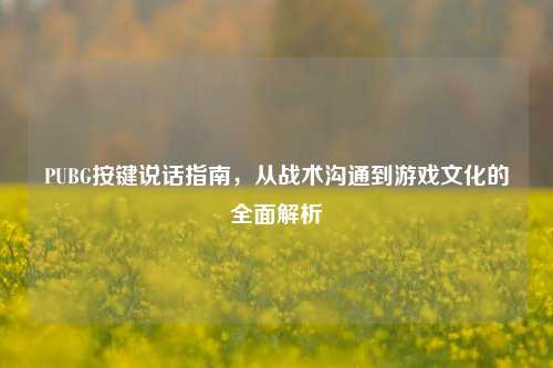 PUBG按键说话指南,从战术沟通到游戏文化的全面解析