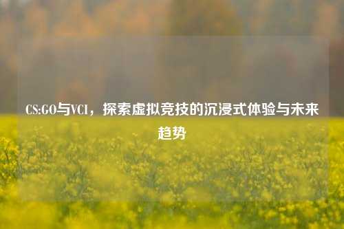 CS:GO与VCI，探索虚拟竞技的沉浸式体验与未来趋势