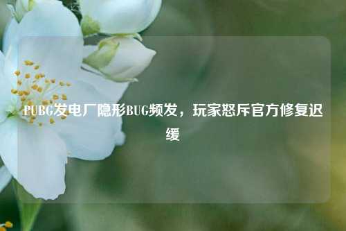 PUBG发电厂隐形BUG频发，玩家怒斥官方修复迟缓